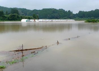 Japonya’da şiddetli yağışlar! Toprak kayması nedeni ile bir kişi hayatını kaybetti