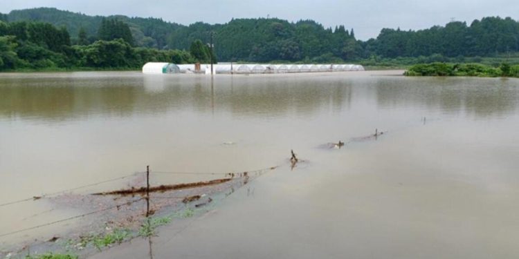 Japonya’da şiddetli yağışlar! Toprak kayması nedeni ile bir kişi hayatını kaybetti