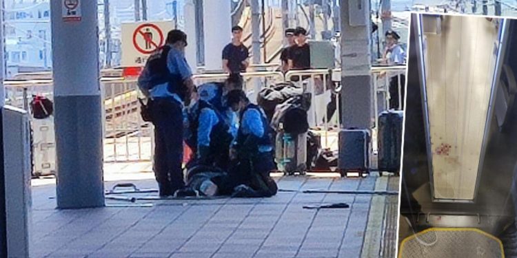 Japonya’da trende bıçaklı atak