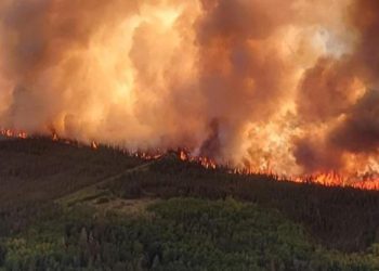Kanada orman yangınları ile boğuşuyor…