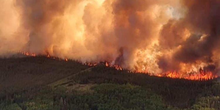 Kanada orman yangınları ile boğuşuyor…