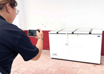 Kayıp Alman derin dondurucuda çıktı