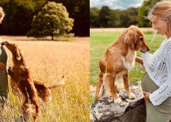 Kaynanasının eski gelinliğiyle evlenmişti: Karnı burnunda ortaya çıktı
