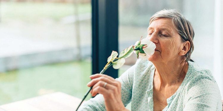 Koku kaybı AlzheImer belirtisi