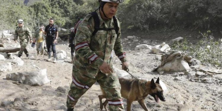 Kolombiya’daki selde can kaybı artıyor