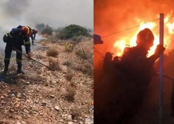 Komşu orman yangınları ile çaba ediyor! Bir yardım da İsrail’den…