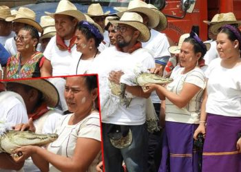 Meksikalı belediye lideri timsahla evlendi, gelinlik giydirdi, dans etti