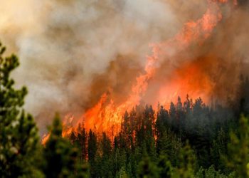 Orman yangınları denetim altına alınamıyor! Kanada alarmda…