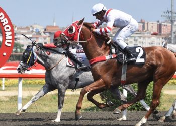 Pertevniyal Koşusu’nu Vizigot kazandı