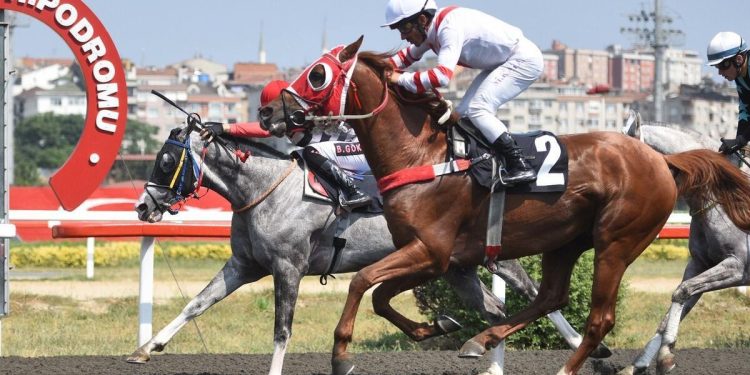 Pertevniyal Koşusu’nu Vizigot kazandı