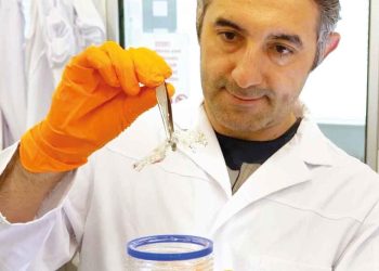 Şeffaf fareyle kanser peşinde