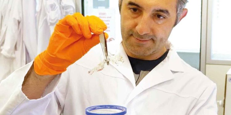 Şeffaf fareyle kanser peşinde