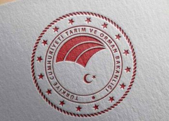 Tarım ve Orman Bakanlığı’ndan Tayvan’a ihraç edilen yumurtalarla ilgili inceleme