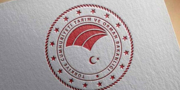 Tarım ve Orman Bakanlığı’ndan Tayvan’a ihraç edilen yumurtalarla ilgili inceleme