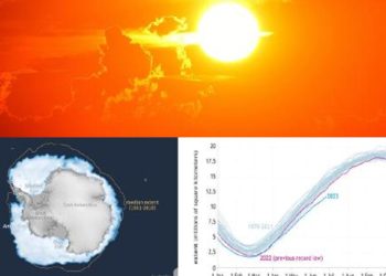Temmuz’un birinci haftası kaydedilen ‘en sıcak hafta’