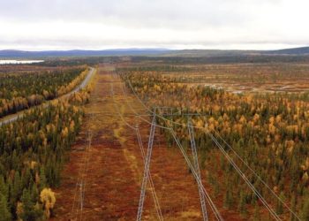YK Enerji’den Akbelen açıklaması: Kısma tabi, endüstriyel bir orman