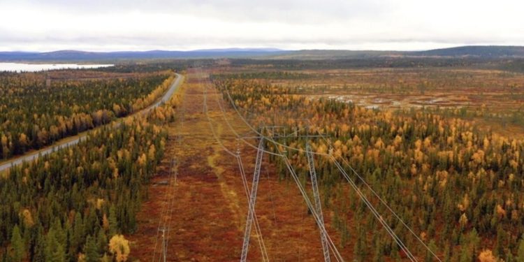 YK Enerji’den Akbelen açıklaması: Kısma tabi, endüstriyel bir orman