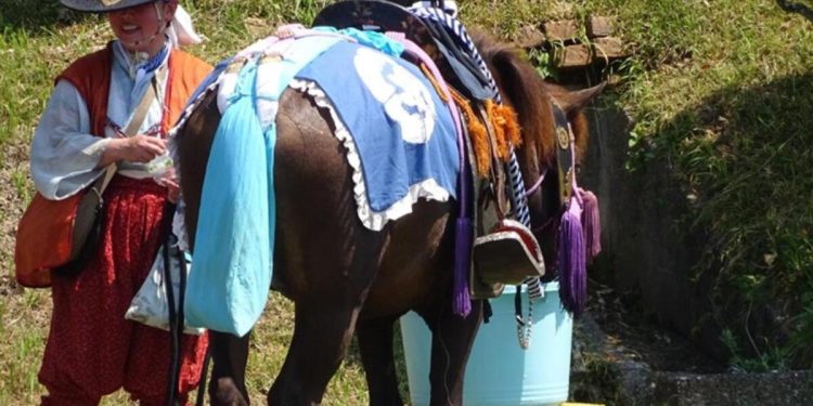 111 atı güneş çarptı! Japonya’daki samuray etkinliğinde şok…