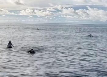 4 sörfçü 36 saat sonra bulundu