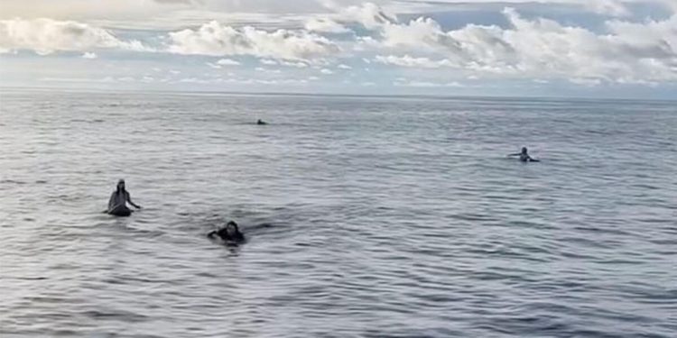 4 sörfçü 36 saat sonra bulundu