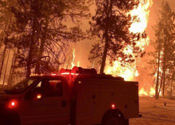 ABD’deki orman yangınlarında can kaybı artıyor