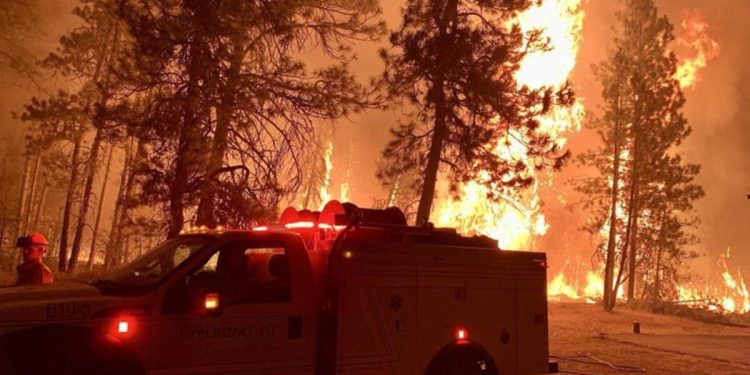 ABD’deki orman yangınlarında can kaybı artıyor