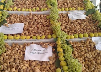 Aydın’ın birinci kuru inciri satıldı