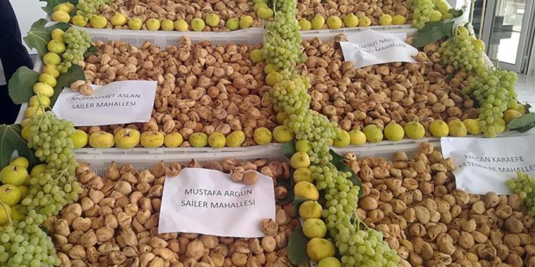 Aydın’ın birinci kuru inciri satıldı