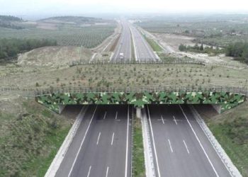 Bakan Uraloğlu: 4 ekolojik köprünün üretimi devam ediyor