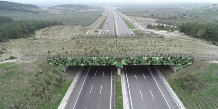 Bakan Uraloğlu: 4 ekolojik köprünün üretimi devam ediyor