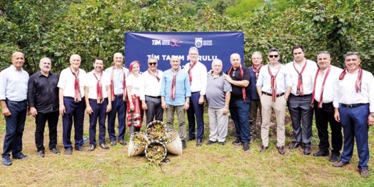 Binbir zorlukla toplanıyor fındığın merkezine TİM çıkarması