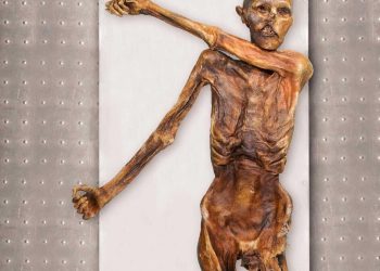 Buzadam Ötzi hemşeri çıktı