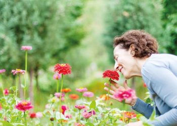 Doğal kokulu uyku Alzheimer’ı önleyebilir