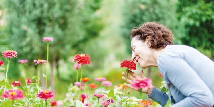Doğal kokulu uyku Alzheimer’ı önleyebilir