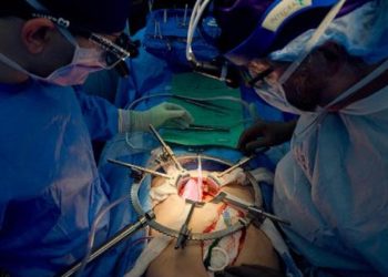 Domuz böbreği, 32 gün boyunca insan bedeninde çalıştı!