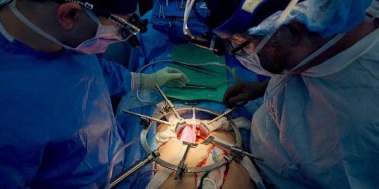 Domuz böbreği, 32 gün boyunca insan bedeninde çalıştı!