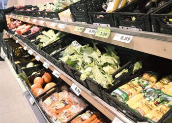 Dünya bir yıllık doğal kaynağını tüketti