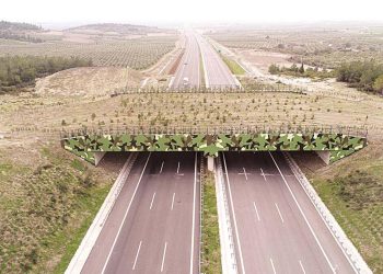 ‘Ekolojik köprü sayısını artıracağız’