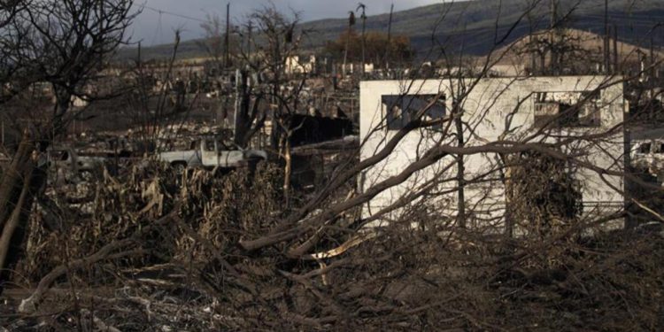 Hawaii’de can kaybı giderek artıyor…