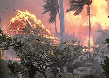 Hawaii’de yangın dehşeti