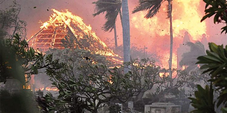 Hawaii’de yangın dehşeti