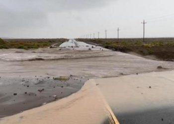 Hilary Kasırgası Kaliforniya’da…