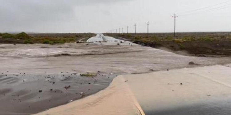 Hilary Kasırgası Kaliforniya’da…