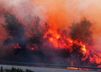 İspanya-Fransa hududunda orman yangını