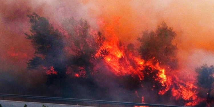 İspanya-Fransa hududunda orman yangını