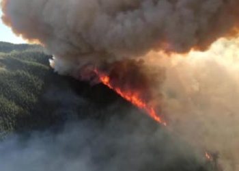 Kanada tarihinin en kötüsünü yaşadı: 13.4 milyon hektarlık alan kül oldu