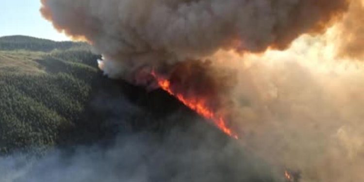 Kanada tarihinin en kötüsünü yaşadı: 13.4 milyon hektarlık alan kül oldu