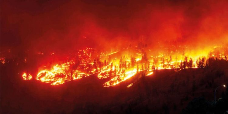 Kanada’da yangın nedeniyle OHAL