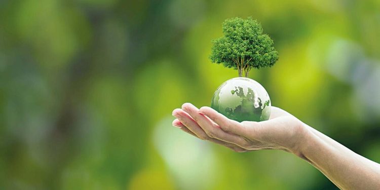 ‘Karbon vergisinin maliyeti 1.7 milyar Euro’ya ulaşacak’