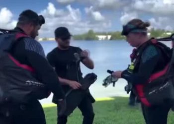 Kayıp olayları araştıran dalgıçlar göl tabanında 32 araç buldu